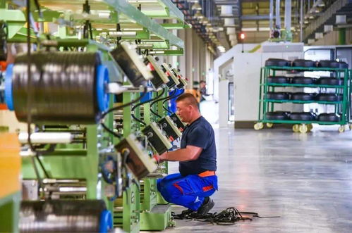 玲珑轮胎对乌兹别克斯坦技术服务项目迎来新进展