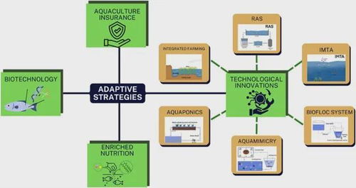 气候变化如何重塑水产养殖业 不可忽视的技术挑战与应对策略
